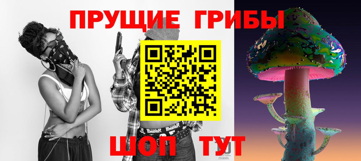 Псилоцибиновые грибы прущие грибы  закладка  Бахчисарай  Псилоцибиновые грибы GOLDEN TEACHER  Вход с VPN 